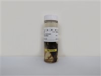 藏品(麻雀)的圖片